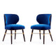Strine Royal Blue Velvet Dining Chair (Set of 2)