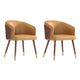 Modern Reeva Dining Chair Upholstered in Leatherette with Beech Wood Back and Solid Wood Legs in Walnut and Camal- Set of 2