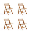 Pullman Folding Dining Chair in Nature Cane - Set of 4