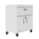 Fortress Textured Metal 31.5’’ Garage Mobile Cabinet with 1 Full Extension Drawer and 2 Adjustable Shelves in White MHC-2GMCC-WH
