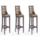 Fifth Avenue 45 in. Bronze and Walnut Beech Wood Bar Stool (Set of 3)