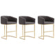 Louvre 36 in. Grey and Titanium Gold Stainless Steel Counter Height Bar Stool (Set of 3)