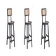 Versailles Counter Stool in Black and Natural Cane - Set of 3