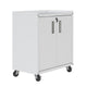 Fortress Textured Metal 31.5’’ Garage Mobile Cabinet with 2 Adjustable Shelves in White MHC-3GMCC-WH