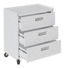 Fortress Textured Metal 31.5’’ Garage Mobile Chest with 3 Full Extension Drawers in White MHC-4GMCC-WH