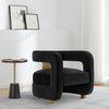 Modern Amirah Velvet Accent Chair in Black MHC-AC060-BK