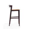 Klismos 40.75 in. Camel and Dark Walnut Beech Wood Barstool MHC-BS014-CL