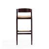 Klismos 40.75 in. Camel and Dark Walnut Beech Wood Barstool MHC-BS014-CL
