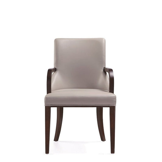 Shubert Modern Faux Leather and Velvet Dining Armchair in Light Grey
