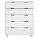 Granville 45.27" Modern Tall Dresser with 5 Full Extension Drawers in White
