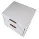 Granville Modern Nightstand 2.0 with 2 Full Extension Drawers in White MHC-NS-5011