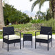 Noli Steel Rattan 3-Piece Patio Conversation Set with Cushions in Cream MHC-OD-CV006-CR