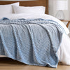 King Size Carved Microvelour Polyester Blanket, Blue Backprint