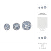 3 Piece Sphere Accent Decor | Blue & White Fern Chinoiserie Ceramic