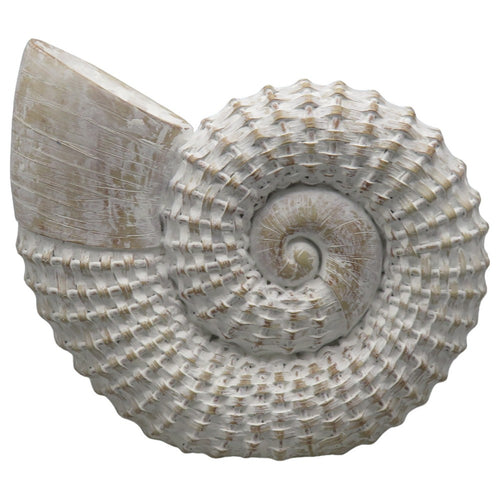 12" Decorative Seashell Figurine | Spiral Textured | Distressed White