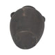 Decorative Amphora Vase w 2 Ear Handles | Black Terracotta | 13"