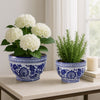 Classic Decorative Bowl Planter Set of 2 | Blue White Chinoiserie Ceramic