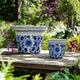 Traditional Decorative Planter Pot Set of 2 | Blue White Chinoiserie Design