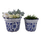 Traditional Decorative Planter Pot Set of 2 | Blue White Chinoiserie Design