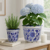 Classic Ceramic Pot Planters Set of 2 | Scalloped Rim Design | Blue & White