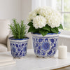 Classic Ceramic Pot Planters Set of 2 | Scalloped Rim Design | Blue & White