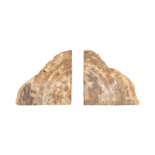 Decorative Bookend Set of 2 | Petrified Wood | Rough Edged Rustic Brown