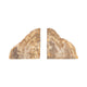 Decorative Bookend Set of 2 | Petrified Wood | Rough Edged Rustic Brown