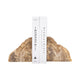 Decorative Bookend Set of 2 | Petrified Wood | Rough Edged Rustic Brown