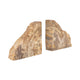 Decorative Bookend Set of 2 | Petrified Wood | Rough Edged Rustic Brown