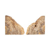 Decorative Bookend Set of 2 | Petrified Wood | Rough Edged Rustic Brown