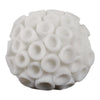 Coral Decorative Tabletop Accent | 6" Ivory Textured Polyresin Design