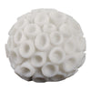 Coral Decorative Tabletop Accent | 6" Ivory Textured Polyresin Design