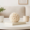 Coral Decorative Tabletop Accent | 6" Ivory Textured Polyresin Design