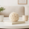 Coral Decorative Tabletop Accent | 6" Ivory Textured Polyresin Design