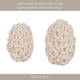 Coral Decorative Tabletop Accent | 6" Ivory Textured Polyresin Design