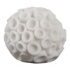 Coral Decorative Tabletop Accent | 6" Ivory Textured Polyresin Design