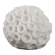 Coral Decorative Tabletop Accent | 6" Ivory Textured Polyresin Design