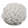 Coral Decorative Tabletop Accent | 6" Ivory Textured Polyresin Design