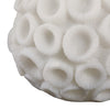 Coral Decorative Tabletop Accent | 6" Ivory Textured Polyresin Design