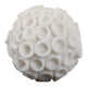 Coral Decorative Tabletop Accent | 6" Ivory Textured Polyresin Design