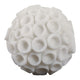 Coral Decorative Tabletop Accent | 6" Ivory Textured Polyresin Design