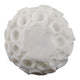 Coral Decorative Tabletop Accent | 6" Ivory Textured Polyresin Design