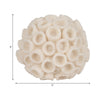 Coral Decorative Tabletop Accent | 6" Ivory Textured Polyresin Design