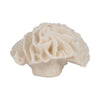 Decorative Flower Petal Coral Accent Sculpture | 6" Ivory Ruffled Resin