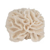 Decorative Flower Petal Coral Accent Sculpture | 6" Ivory Ruffled Resin