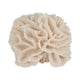Decorative Flower Petal Coral Accent Sculpture | 6" Ivory Ruffled Resin