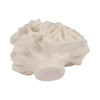 Decorative Flower Petal Coral Accent Sculpture | 6" Ivory Ruffled Resin