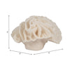 Decorative Flower Petal Coral Accent Sculpture | 6" Ivory Ruffled Resin