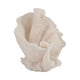 Decorative Coastal Accent Coral Sculpture | Beach Ivory Resin | 8"