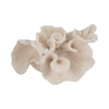 Decorative Coastal Accent Coral Sculpture | Beach Ivory Resin | 8"